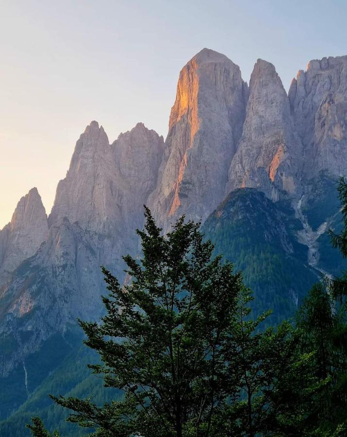 Guest house Nordest Sudest- Conca Agordina