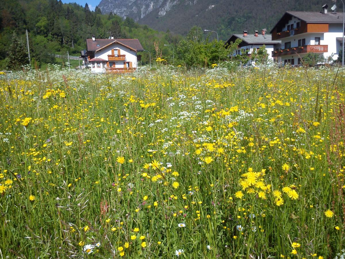 Guest house Nordest Sudest- Conca Agordina Agordo
