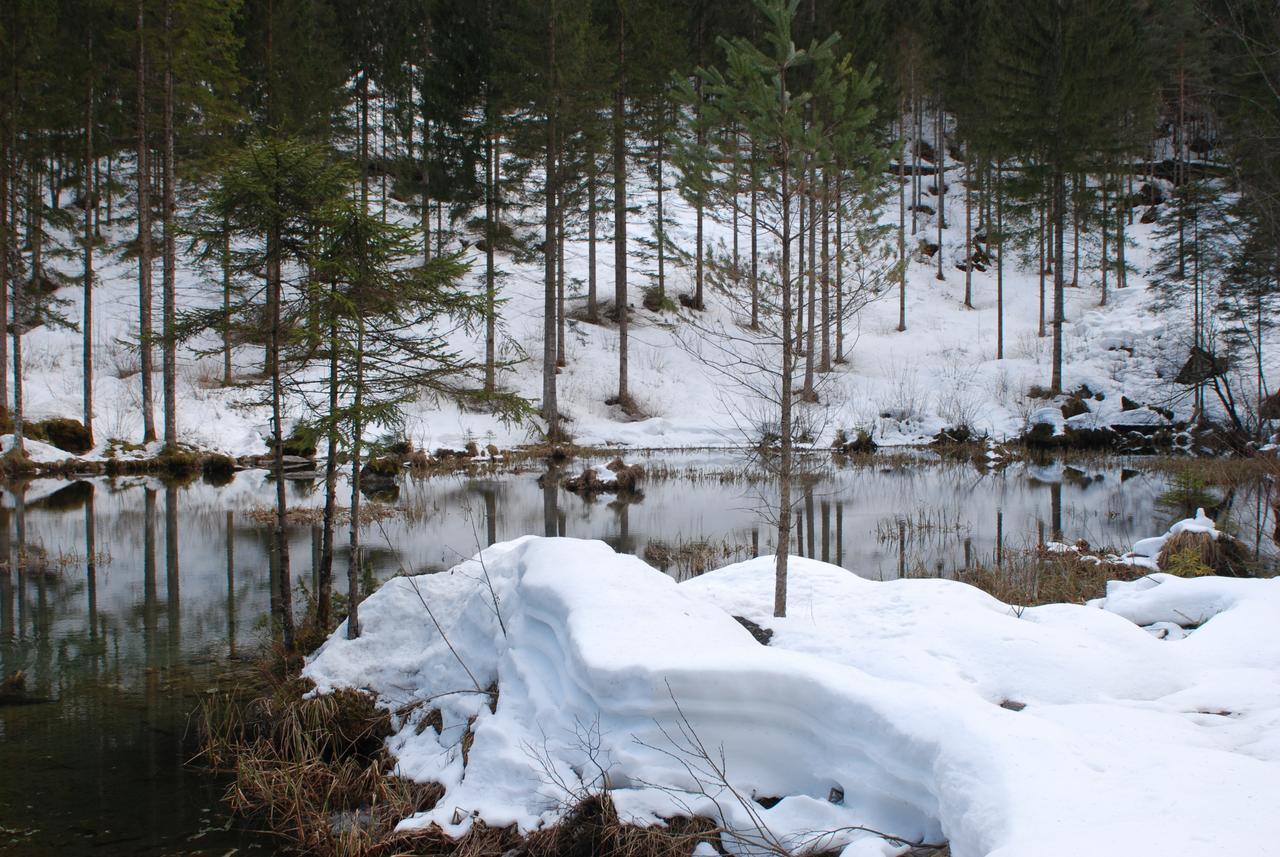 Gasthof Nordest Sudest- Conca Agordina